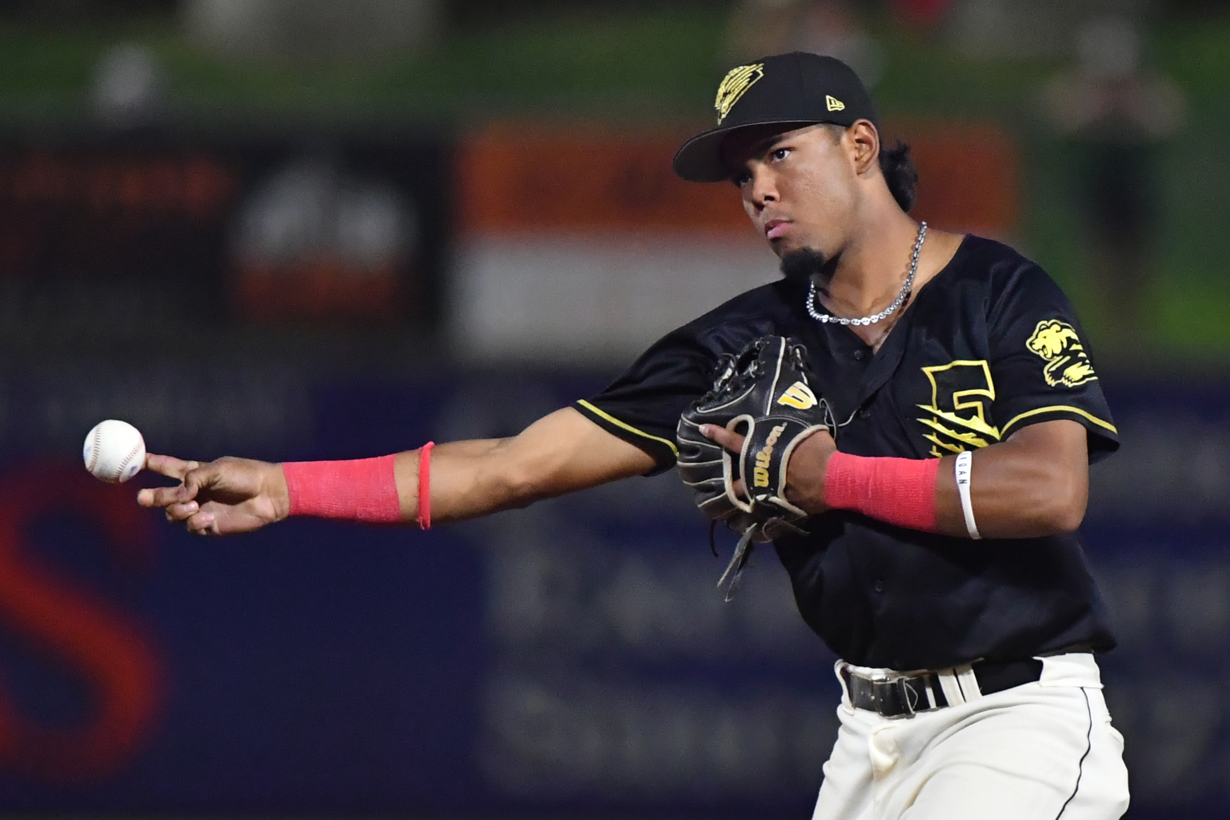 Wilder Dalis rockies